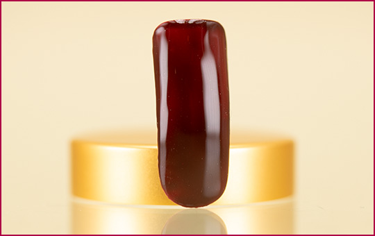 Pure Color Gel Prunus 5ml 