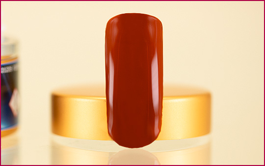 Pure Color Gel Shadow Berry 5ml 