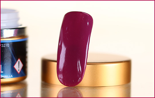 Pure Color Gel Winter Berry 5ml 