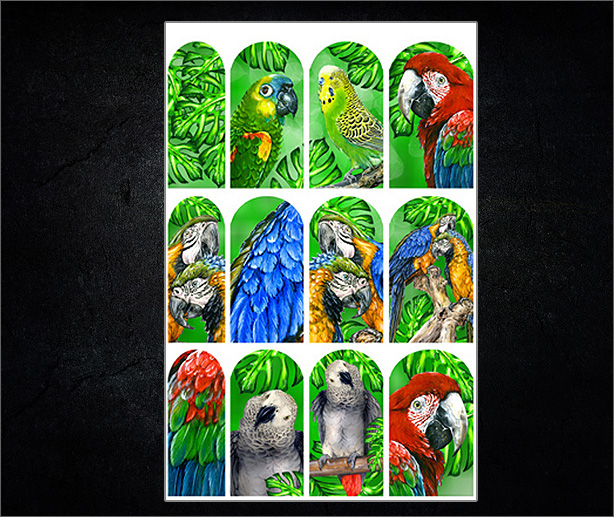 Nail Wraps by Hueser Design 43 