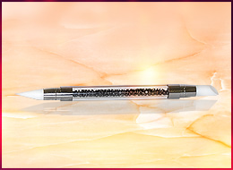 Strass-Pinsel schwarz mit Silicone Spitze 