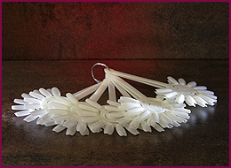 Color Pop 12er Fächer 