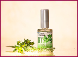 Pflegeoil Mint 15 ml 