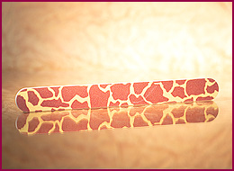 Leo Feile 120 / 180 grit 