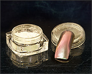 Chrom Pigment Odonata 