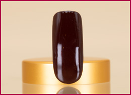 Pure Color Gel Marone 5ml 