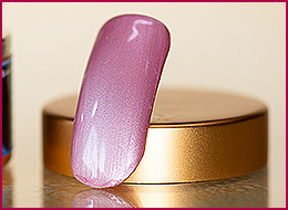 Polish Color Gel Endless Party  5ml 