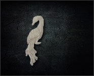 3d Motiv Paradiesvogel 