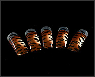 Airbrush Design Tips Tigerlook 