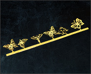 Einlegemotive Schmetterlinge 