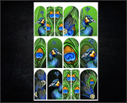 Nail Wraps by Hueser Design 32 