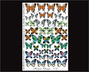 Nail Wraps by Hueser Design 92 