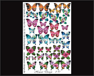 Nail Wraps by Hueser Design 97 