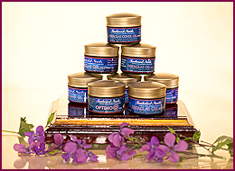 Fiberglas Gel  Umsteiger Set 