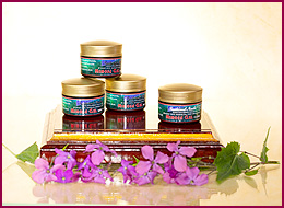 Mimosa Gel Set RubberBase