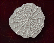 Underlay Spinnennetz 