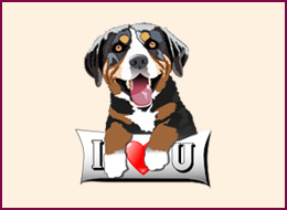 Nail Wraps Appenzeller 