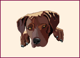 Nail Wraps R. Ridgeback 