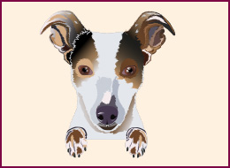 Nail Wraps Jack Russell 