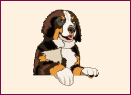 Nail Wraps Bernersennen 