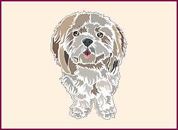Nail Wraps Shih Tzu 