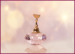 Crystal Tip Halter 