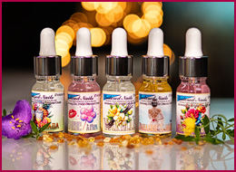 Dry Nagelöl Set 