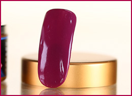 Pure Color Gel Winter Berry 5ml 