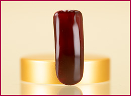Pure Color Gel Prunus 5ml 