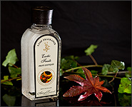 250 ml Ashleigh & Burwood Lampenduft Exotic Fruits 