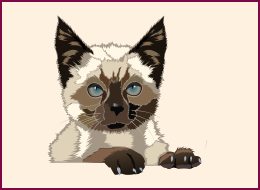 Nail Wraps Siam Cat 