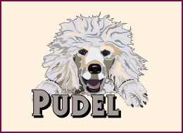 Nail Wraps Pudel 